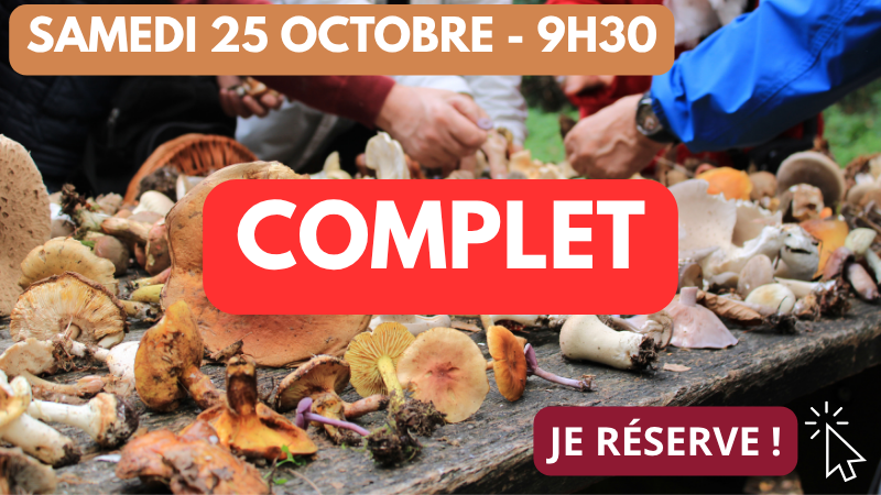 25_10 9h30 complet 25_10 9h30 complet