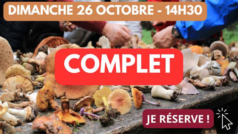 26_10 14h30 complet 26_10 14h30 complet